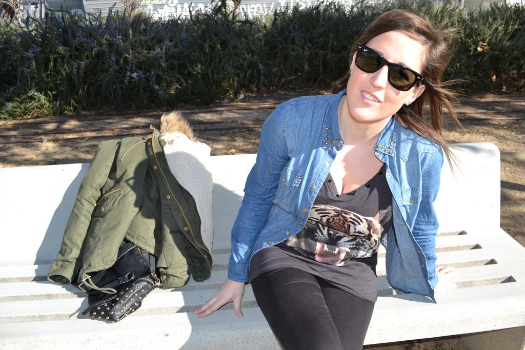 Image Hosted by ImageShack.us