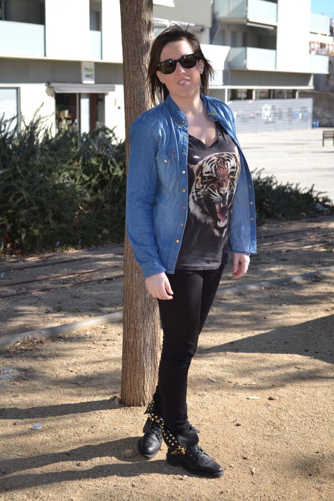 Image Hosted by ImageShack.us