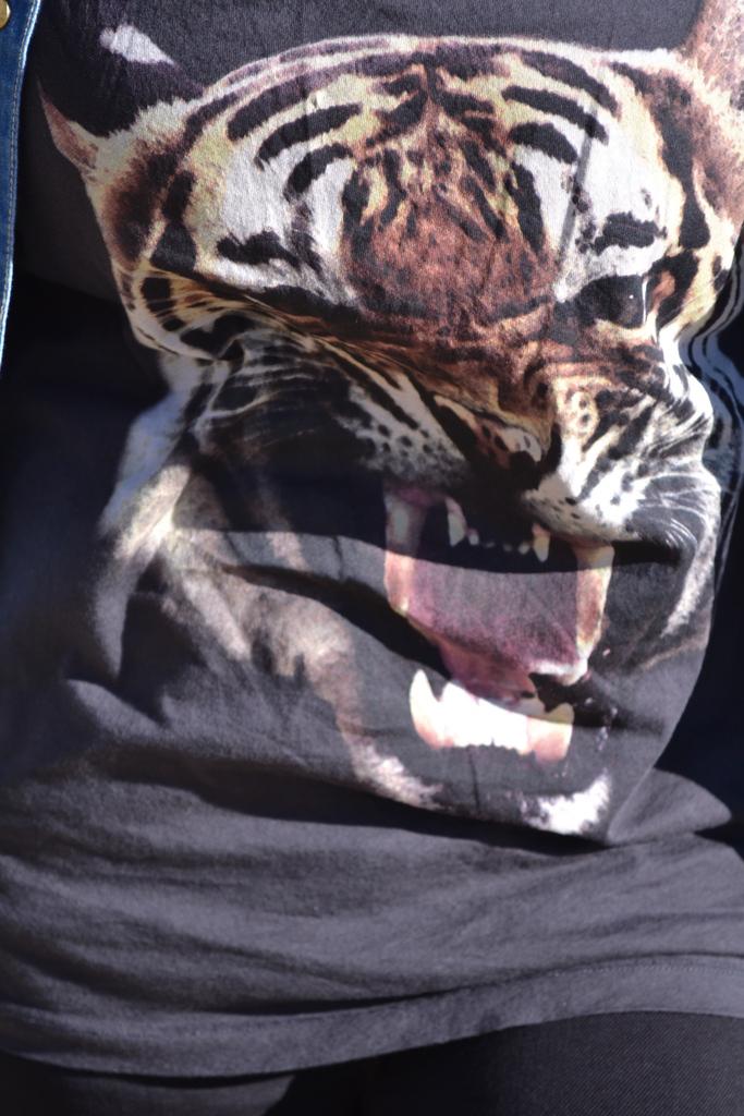 Look of the day: tiger