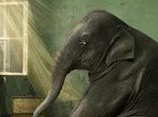 Cómo capitalismo salvará elefantes