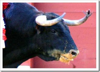 Comunicado de UTAA de Sevilla sobre la pasada temporada