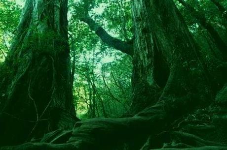 La tradición del olvido