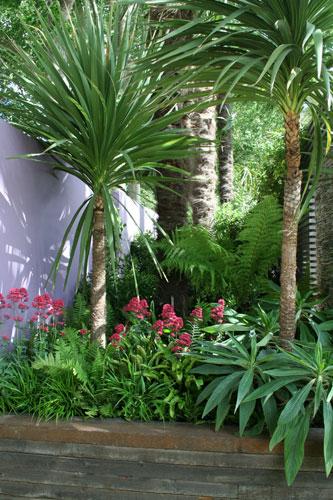 palmeras-y-plantas-subtropicales-en-zona-de-sombra