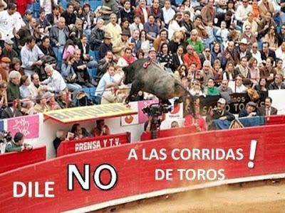 El PP, preso del pánico, da un paso atrás; la PAH, uno adelante.