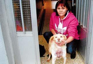 Dos casos de violencia de género y maltrato animal