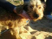 Arena estaba zona caceria Punta Umbria