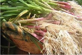 Revuelto De Ajetes Tiernos Y Setas Variadas