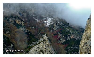 Breve visita al Parque natural de Redes