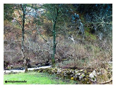 Breve visita al Parque natural de Redes