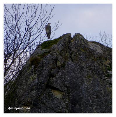Breve visita al Parque natural de Redes