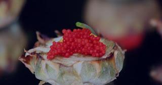 El Reservado: Una estrella (Michelín) en el bolsillo El Reservado: Una estrella (Michelín) en el bolsillo