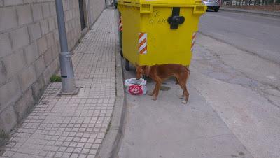 PODENCA EN LOS HUESOS Y EN LA CALLE. (HUELVA)