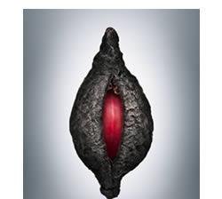 Por un libre intercamio de semillas Por un libre intercamio de semillas