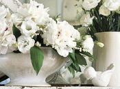 Comienzo Semana Start Week