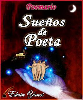 LIBRO SUEÑOS DE POETA