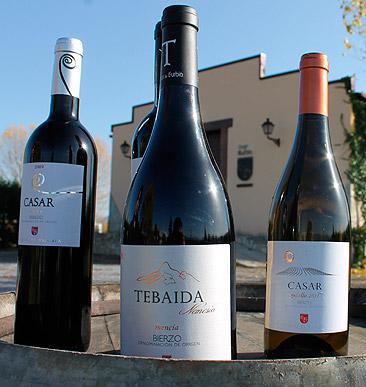 20130103_casardeburbia