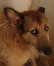 PEPE el sufrimiento invisible a los ojos de nadie. (Valencia)