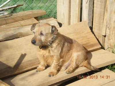 Otros dos, victimas del desahucio.