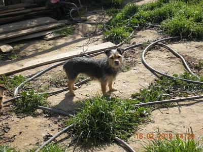 Otros dos, victimas del desahucio.