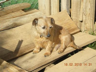 Otros dos, victimas del desahucio.