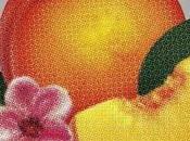 Phoenix: Entertainment (nuevo tema)