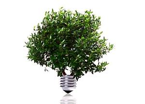 Últimos días para postular al Fondo Concursable para iniciativas Productivas Sustentables