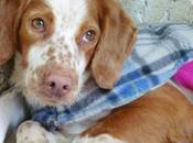 ¿quien puede enamorarse?