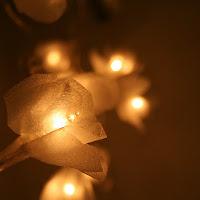 Una bonita iluminación decorativa dará más calidez a la fiesta