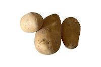 Cómo Conseguir que tus Suelas Nuevas no Resbalen