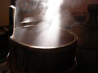 Una Buena Higiene Facial Casera (III)