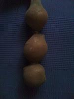 Panty con cebollas preparado para colgar