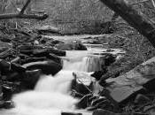 Flujo constante información