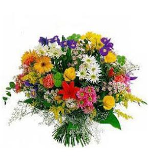 Y SIGUEN LLEGANDO MÁS PREMIOS.