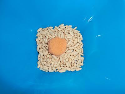 PANALLETS. PANALLETS.