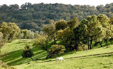 Sierra Norte de Sevilla