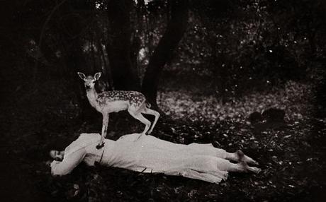 Fotografía - Katie Eleanor