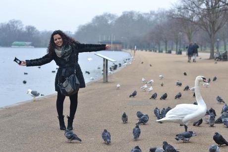  photo DSC_0069_zpse8351af2.jpg