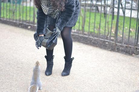  photo DSC_0083_zps5aaec1e6.jpg