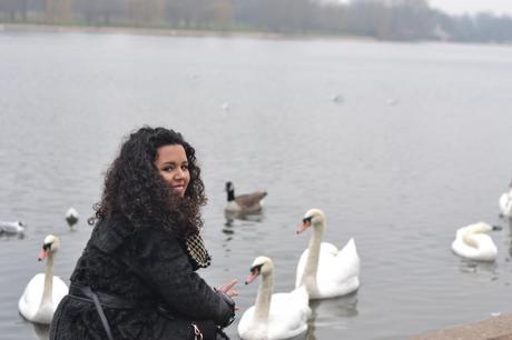  photo DSC_0062_zpsfd993996.jpg