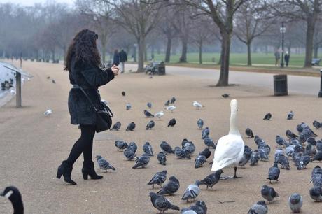  photo DSC_0071_zps6695eb74.jpg