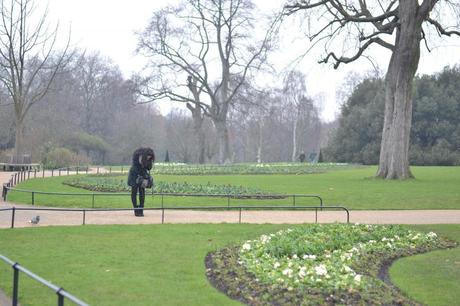  photo DSC_2598_zpsc8c75065.jpg