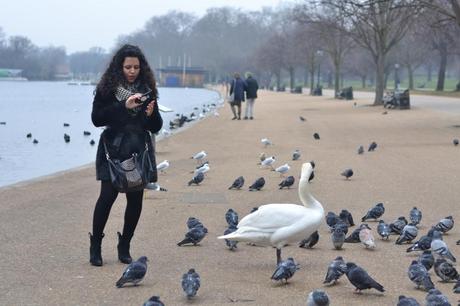  photo DSC_0067_zps059e9231.jpg