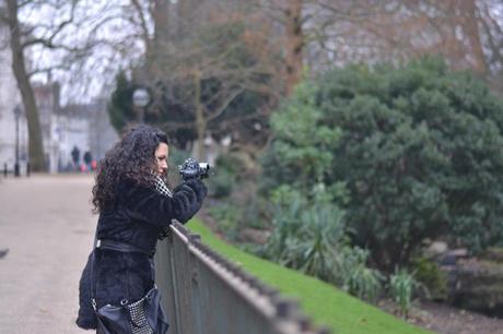  photo DSC_0030_zps396ba570.jpg