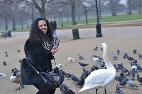  photo DSC_0064_zpsd37f71b7.jpg