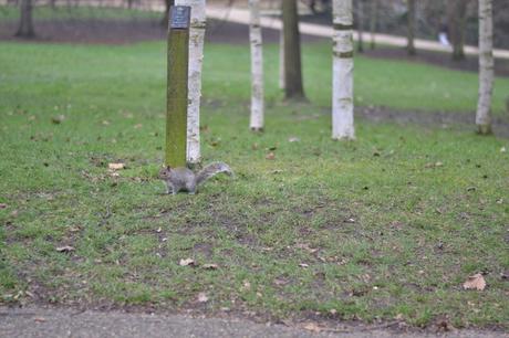  photo DSC_0015_zpsa947ec78.jpg