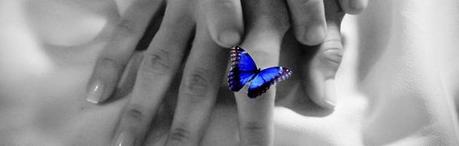 Conoced Ángel Prohibido, de Barb Capisce y Daphne Ars, una saga de romance erótico. «Ten cuidado con lo que deseas”» Conoced Ángel Prohibido, de Barb Capisce y Daphne Ars, una saga de romance erótico. «Ten cuidado con lo que deseas”»