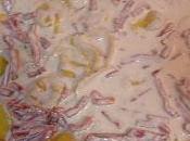 Pasta fresca salsa quesos
