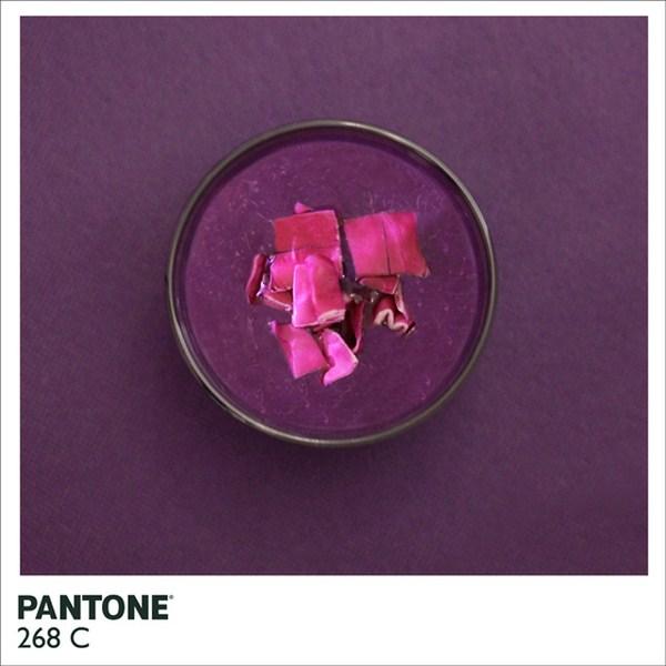 comida hecha pantone