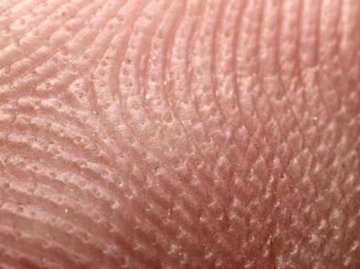Las células de la piel revelan mosaico genético del ADN