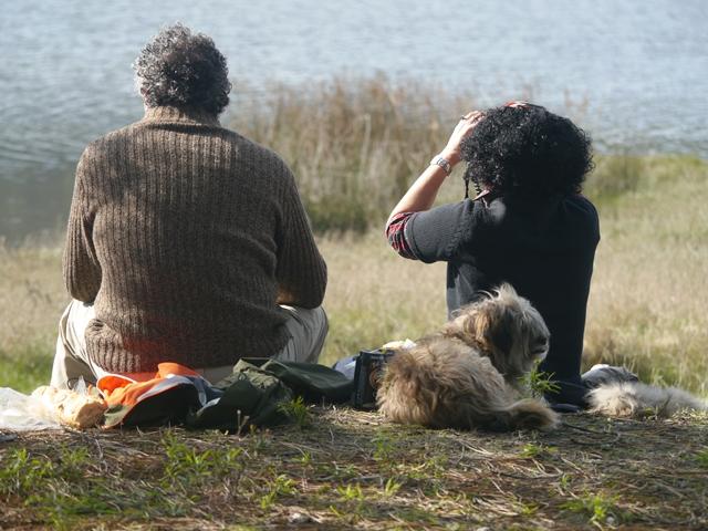 Una vuelta por Navia del grupo SEO Asturias